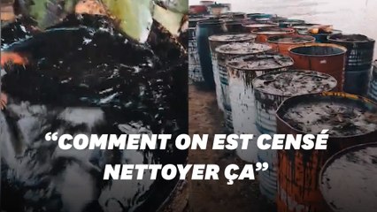 À l'île Maurice, ce kitesurfeur filme les dégâts de la marée noire