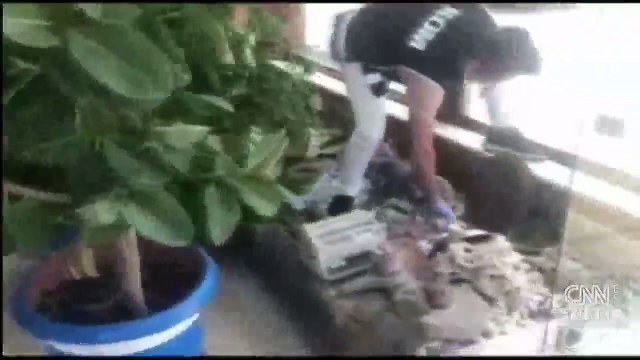 İstanbul'da tarihi eser operasyonu. Çok sayıda eser ele geçirildi, bir kişi tutuklandı | Video