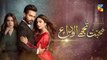 Mohabbat Tujhe Alvida Episode 10 Promo HUM TV Drama