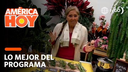 América Hoy: Jeanette Enmanuel enseño los beneficios de las poderosas plantas medicinales