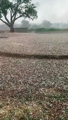 L'orage du 12 août 2020 à Bagas, en Gironde