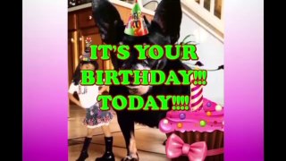 Happy Birthday Alfredo - Alfredo's Birthday Song - Alfredo's Birthday Party