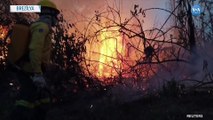 Amazon Ormanlarında 10 Binden Fazla Yangın