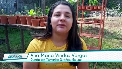 Costa Rica Noticias Regional - Sabado 08 Agosto 2020