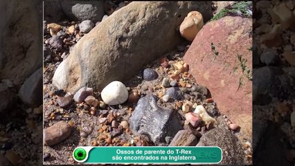 Ossos de parente do T-Rex são encontrados na Inglaterra
