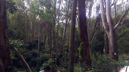 On the way to kodaikannal