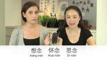 Qing Wen: I MISS YOU! 想念、怀念、思念 (Advanced Chinese Synonyms) | ChinesePod