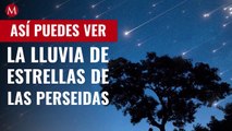 Así puedes ver las Perseidas en México, la lluvia de estrellas más increíble del año