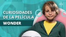 Detalles que quizá te perdiste de la película Wonder | Details you may have missed from the Wonder movie