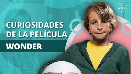 Detalles que quizá te perdiste de la película Wonder | Details you may have missed from the Wonder movie