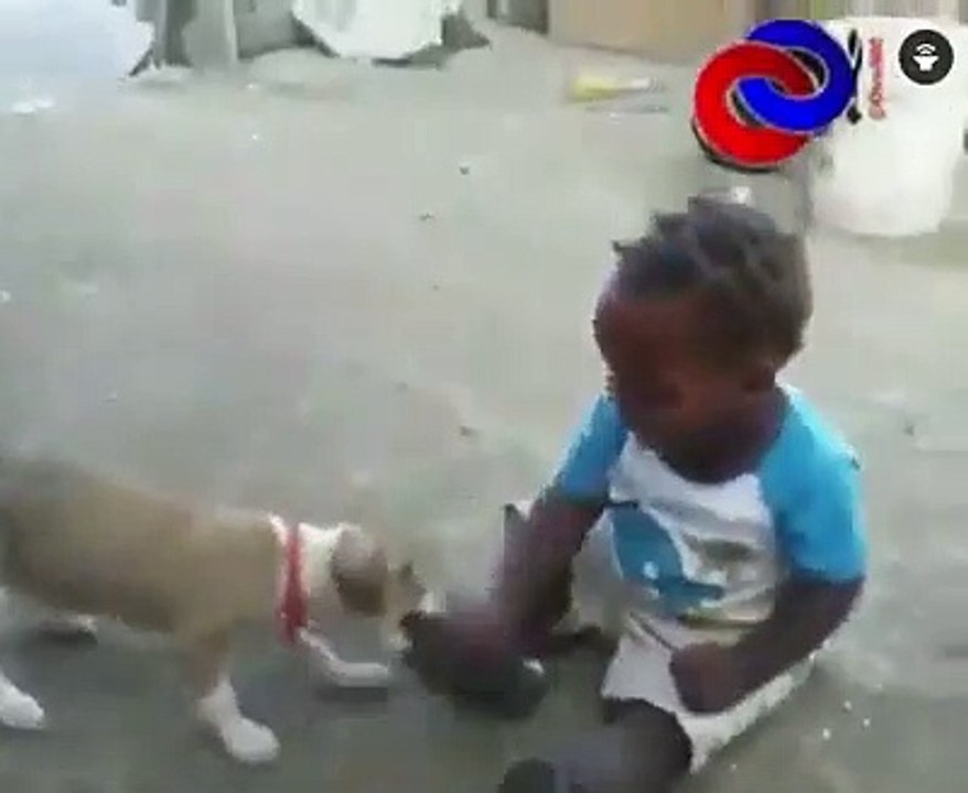 Esto es para morir de la risa jaajaja
