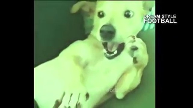 CUANDO JUEGAS FÚTBOL DESPUES DE LA CUARENTENA - SI TE RIES PIERDES