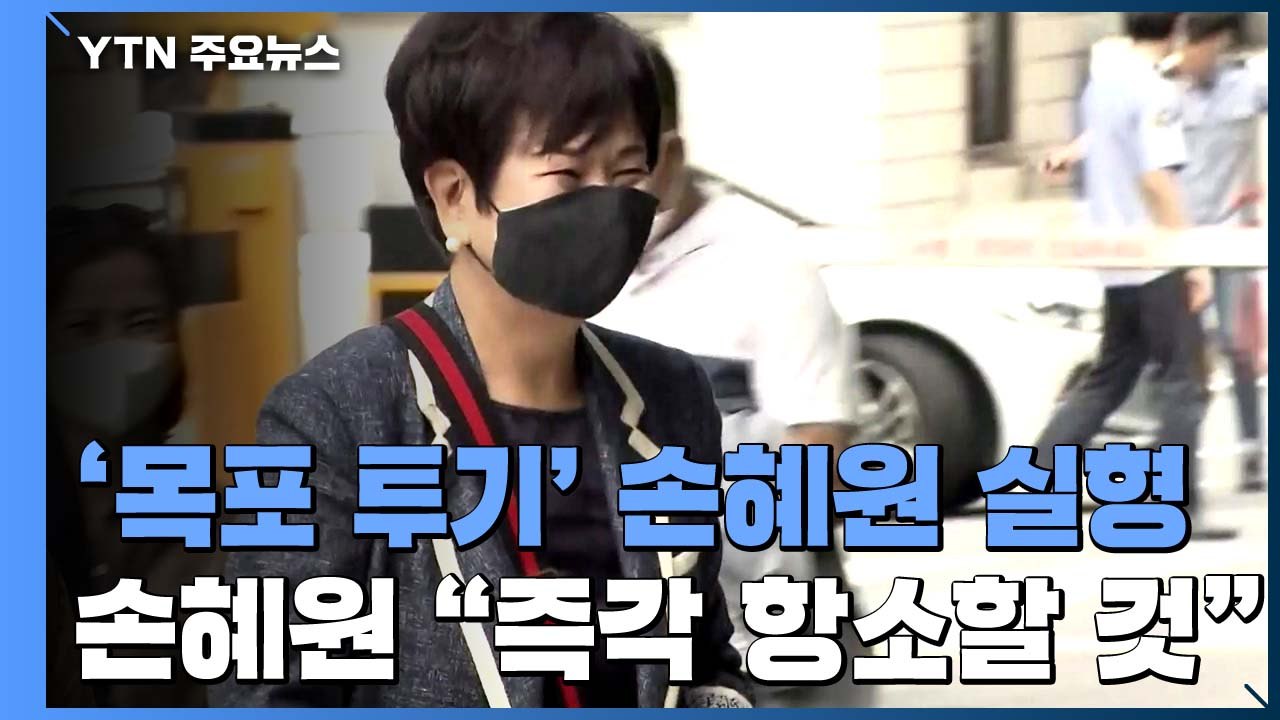 [취재N팩트] '목포 투기' 손혜원, 1심서 징역 1년 6개월..."중대 비리" / YTN