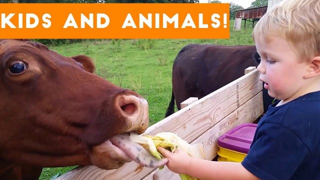 The Funniest Pets Meet The Cutest Kids & Babies of 2017 Weekly Compilation _ Funny Pet Videos