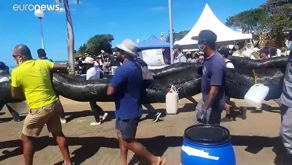 Μαυρίκιος: Θα διεκδικήσει αποζημίωση από τους ιδιοκτήτες του τάνκερ