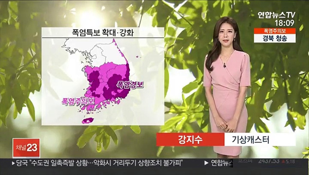 [날씨] 내일부터 다시 장맛비…모레까지 중부 '집중호우'