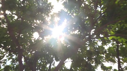 제주 낮 최고기온 36.1도 기록...올해 가장 높아 / YTN