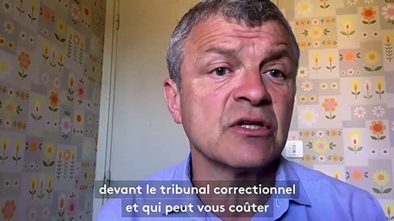 Fortes chaleurs : peut-on briser la vitre d'une voiture pour libérer un chien ?