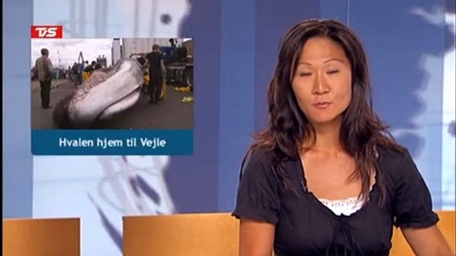 Hvalen hjem til Vejle | Finhvalen | 28-06-2010 | TV SYD @ TV2 Danmark