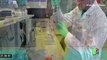 Peruanos participarán en ensayos clínicos sobre vacuna contra el coronavirus