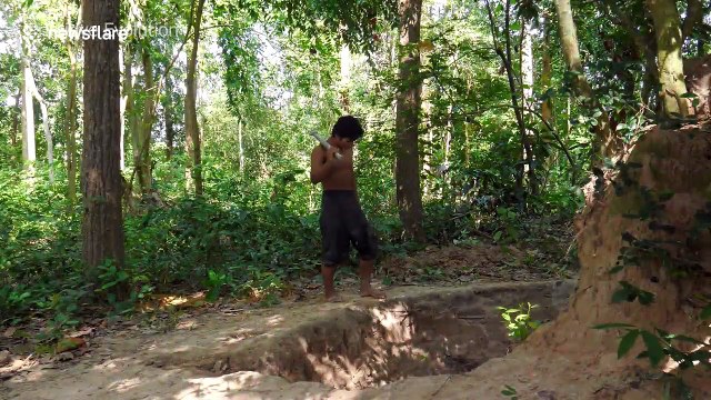 Cambodian YouTuber digs cosy pond for 25 newborn crocodiles