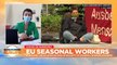How can businesses keep seasonal workers in Europe safe?