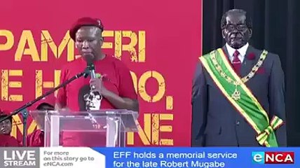 freedom fighters Late Mugabe