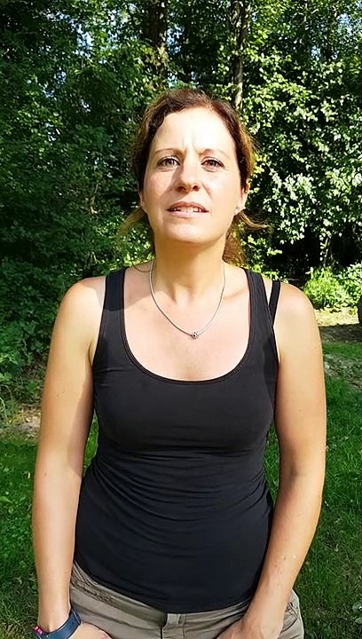 Was müssen Hundebesitzer bedenken, wenn sie auf fremde Kinder treffen