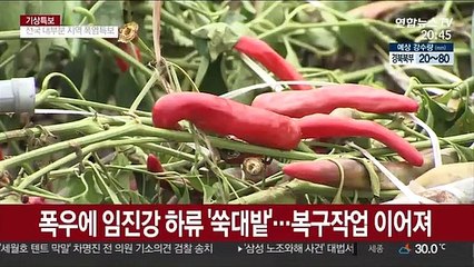 임진강 하류 복구작업 한창…비소식에 근심