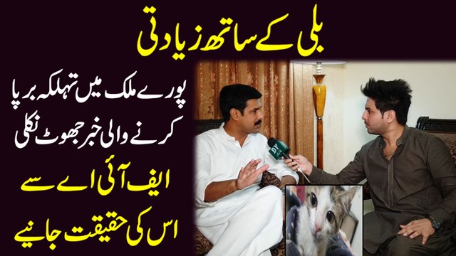 Billi k sath ziadti, pury mulk me tehalka barpa karny wali khabr jhoot nikli, FIA se haqeeqat janiye