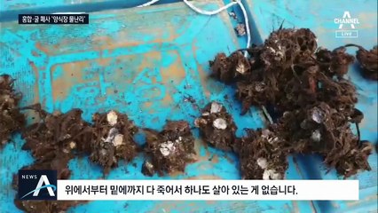 바닷물 질식시킨 민물 습격…남해 양식장 집단 폐사 속출