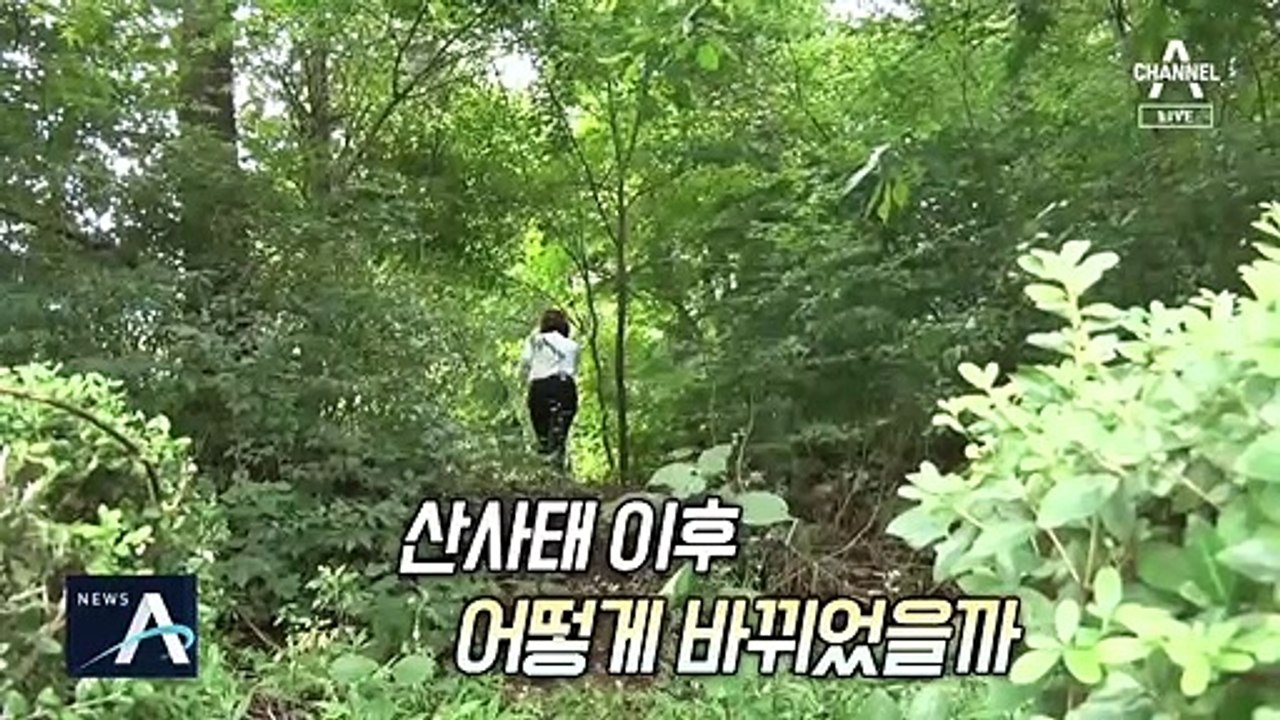 [여인선이 간다]9년 전 우면산 참사의 교훈 ‘유비무환’