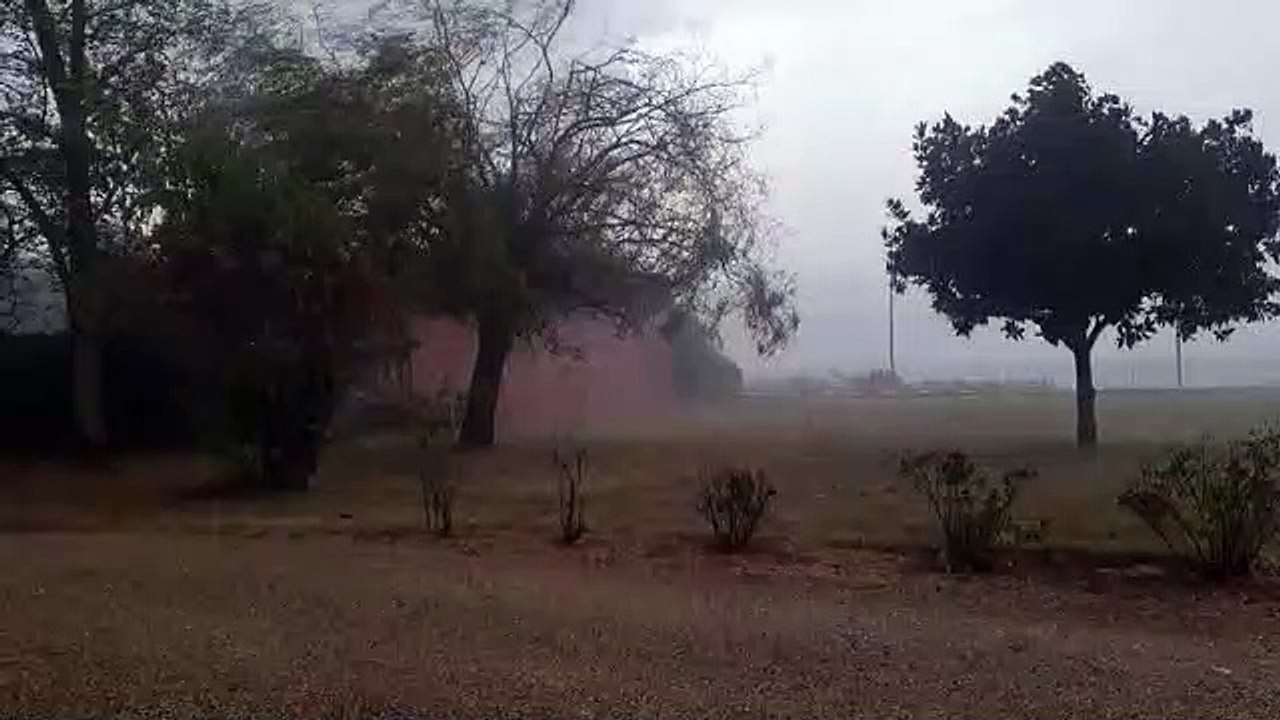 Au château Lagarosse à Tabanac, les vignes sont ravagées par la grêle le mercredi 12 août 2020