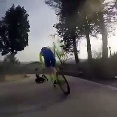 Cette luge circule à toute vitesse sur une route et passe sous un véhicule