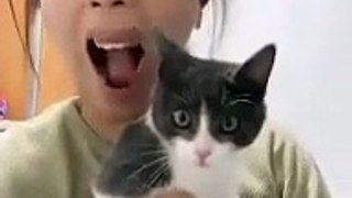 The Weirdly Afraid Cat from TikTok Filter