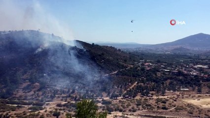 Milas’ta orman yangını
