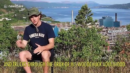 Canadian YouTuber's in-depth poetic explanation of the woodchuck tongue-twister