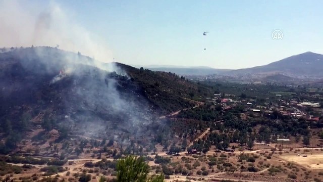 Milas'ta çıkan orman yangını söndürüldü - MUĞLA