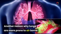 boost-your-lungs-during-pandemic-covid-19foods-that-clean-your-lungs-naturally-