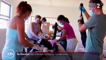 Ile Maurice : des habitants se font couper les cheveux pour lutter contre la marée noire