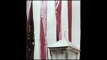 FILM AVVENTURA-la treccia che uccide- kung fu-1972-parte 2