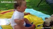 Cute Puppies and Babies Playing Together Compilation 2020