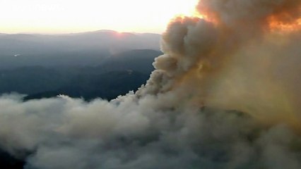 Buschbrand in Kalifornien - Hunderte Feuerwehrleute im Einsatz