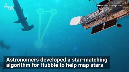What Does the Hubble Telescope Have in Common with Whale Sharks?