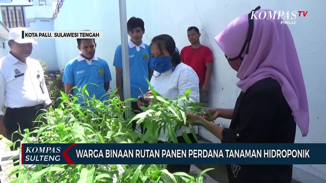 Warga Binaan Rutan Panen Perdana Tanaman Hidroponik