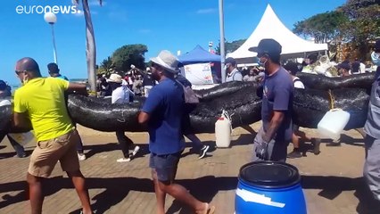 Маврикий требует компенсации экологического ущерба