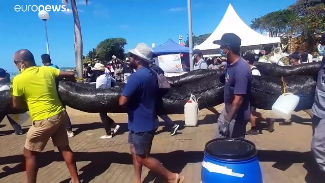 Маврикий требует компенсации экологического ущерба