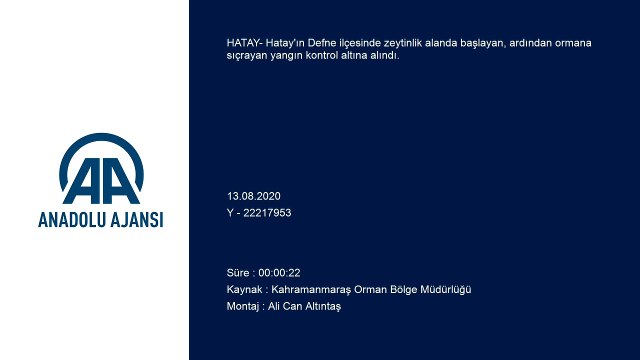 Zeytinlikte başlayıp ormana sıçrayan yangın kontrol altına alındı - HATAY