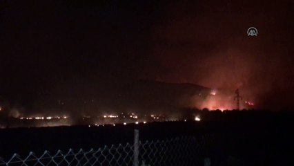 İzmir'de otluk alanda yangın (2)