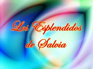 AMOR DE POBRE   Esplendidos de Salvia   ÉXITOS DEL MUNDO EIRL